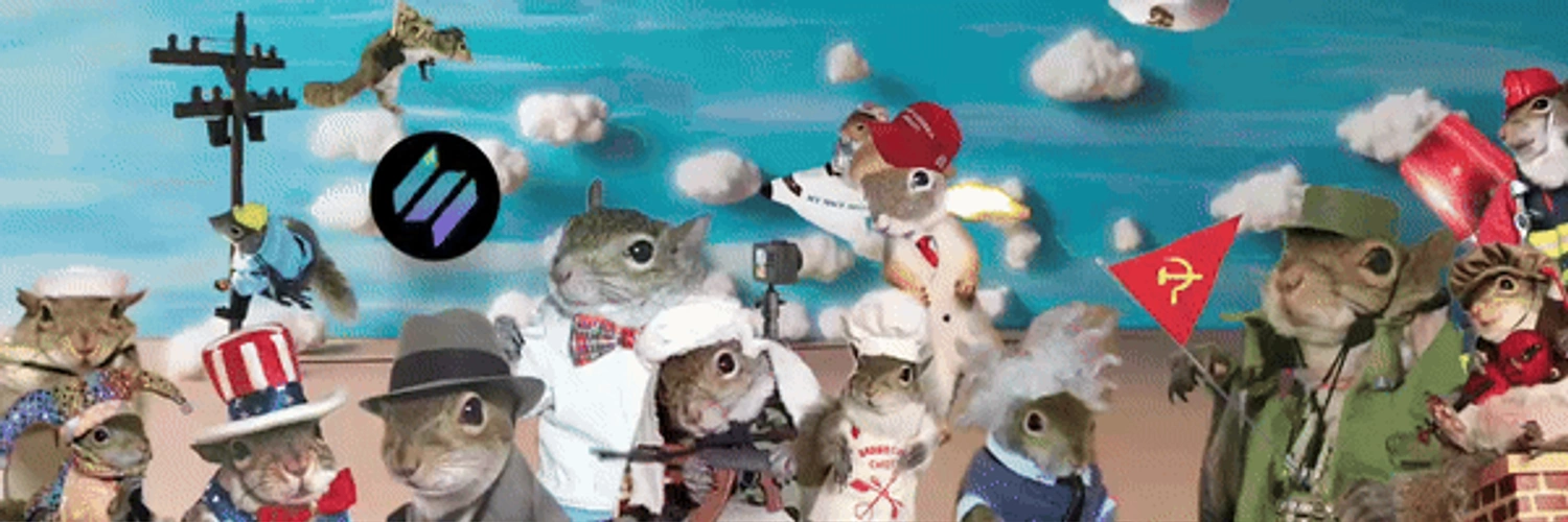 Sugar Bush Squirrel Banner - Solana & Bitcoin